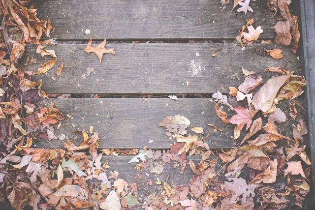 wood, deck, leaves, autumn, fall, nature. Insurance coverage for a deck and patio business, compared to its real cost
