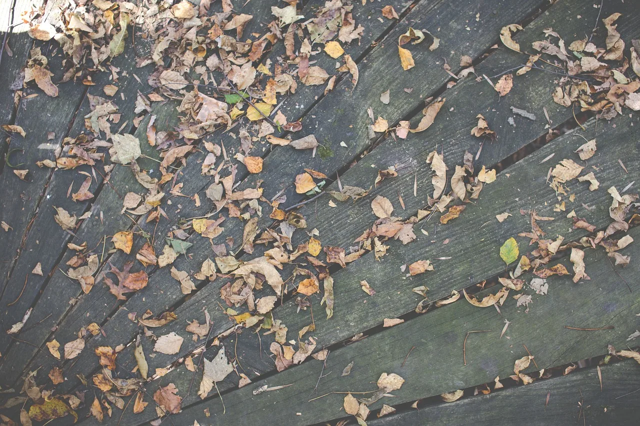 wood, deck, leaves, autumn, fall, nature. Deck permit inspection checklist by city: what inspectors flag first