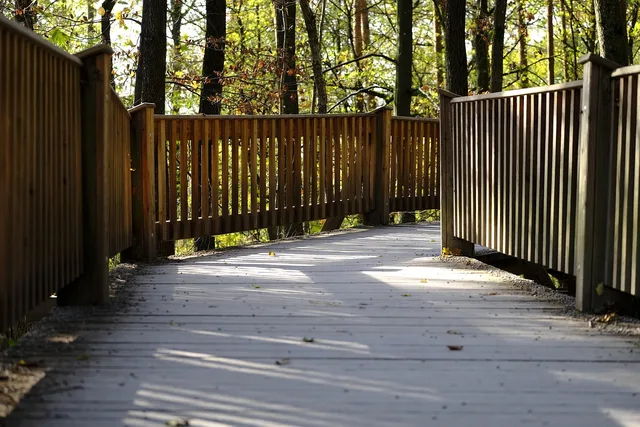 bridge, path, web, railing, crash, fall protection, protection, wood, leadership, lead, forest, trees, nature. OSHA deck construction safety requirements that most residential crews miss